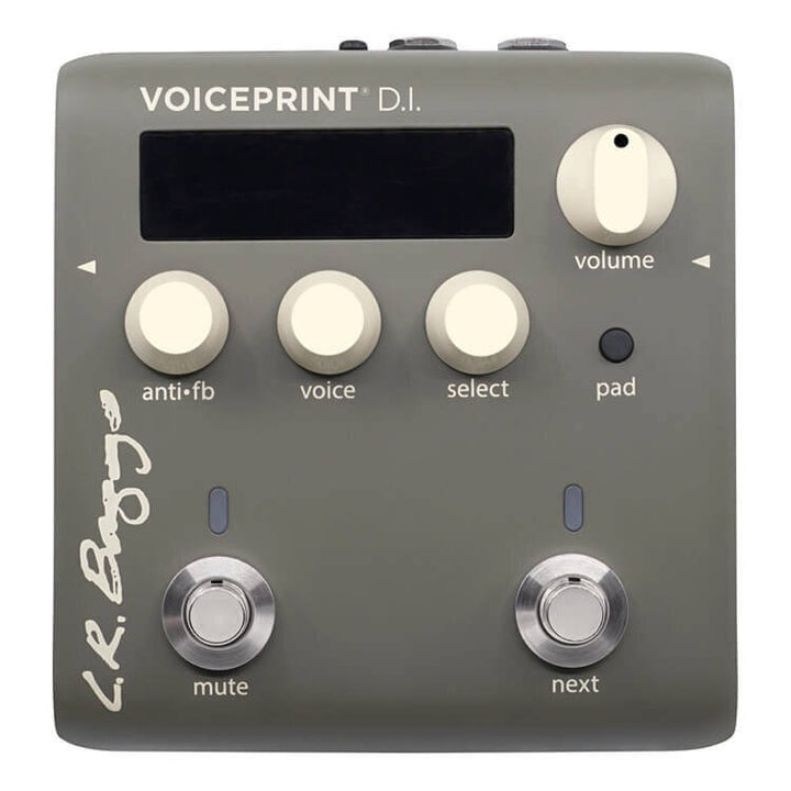 L.R Baggs Voiceprint DI Acoustic Guitar Impulse Response Pedal