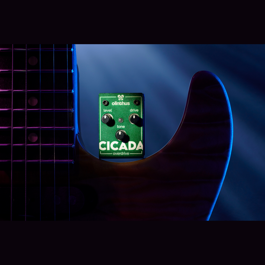 Olinthus CICADA Overdrive Pedal