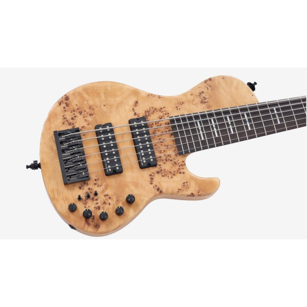 Sire Marcus Miller F10-6 Bass (Natural Satin) F10-6-CASE-NTS