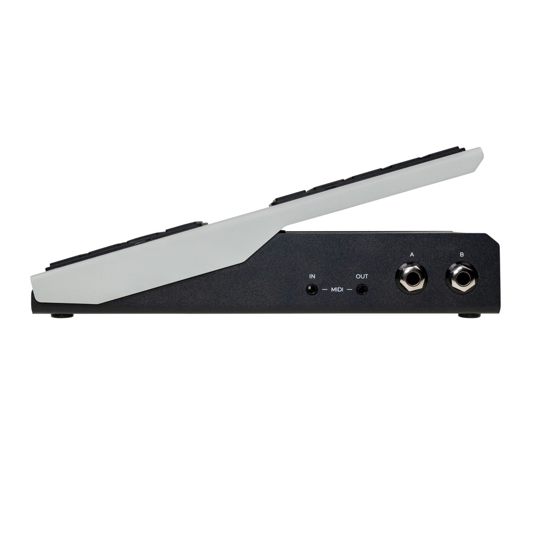 Walrus Audio 900-1105 Canvas Expression Pedal (Gray)