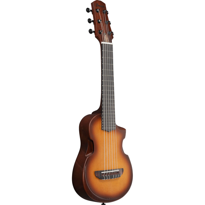 Ibanez AUP10NOLB Acoustic Guitar w/bag - Open Pore Light Brown Sunburst