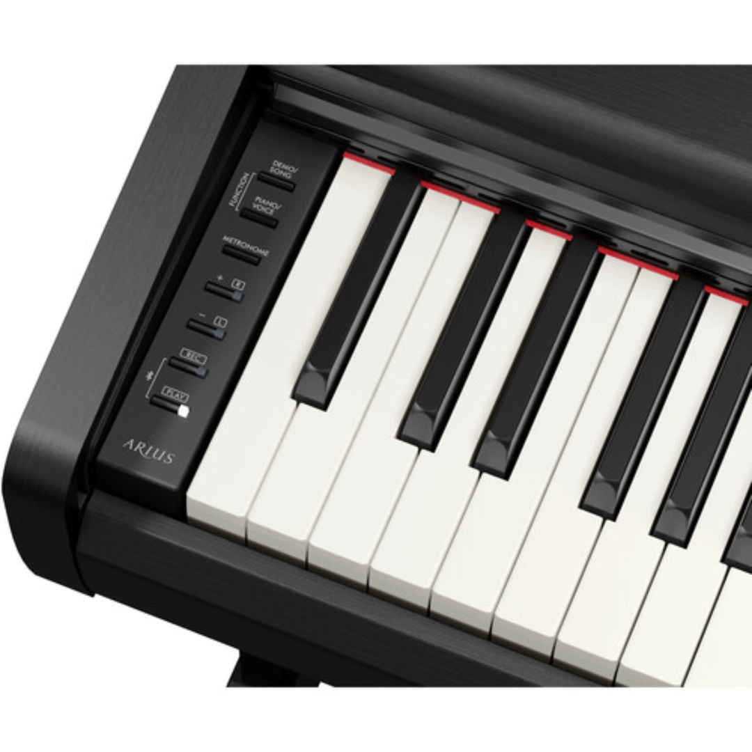 Yamaha YDP146 B 88-Key Dgital Piano (Black)