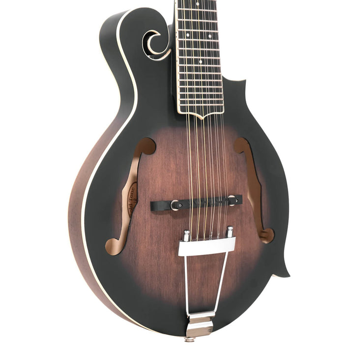 Gold Tone 12-string F-style Mando-Guitar with Pickup and Case