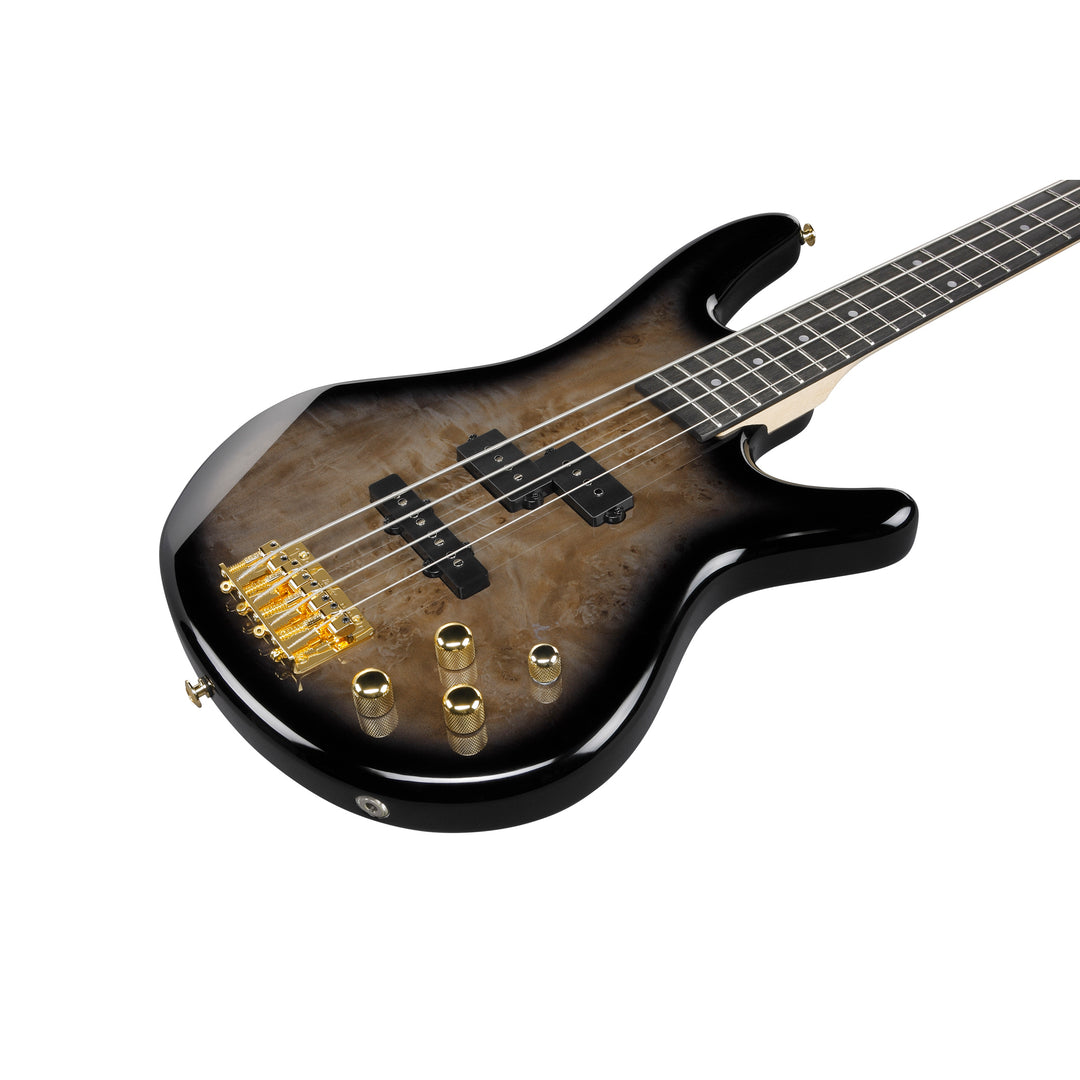 Ibanez Gio SR Electric Bass (Transparent Pale Black Burst) GSR200PCTPB