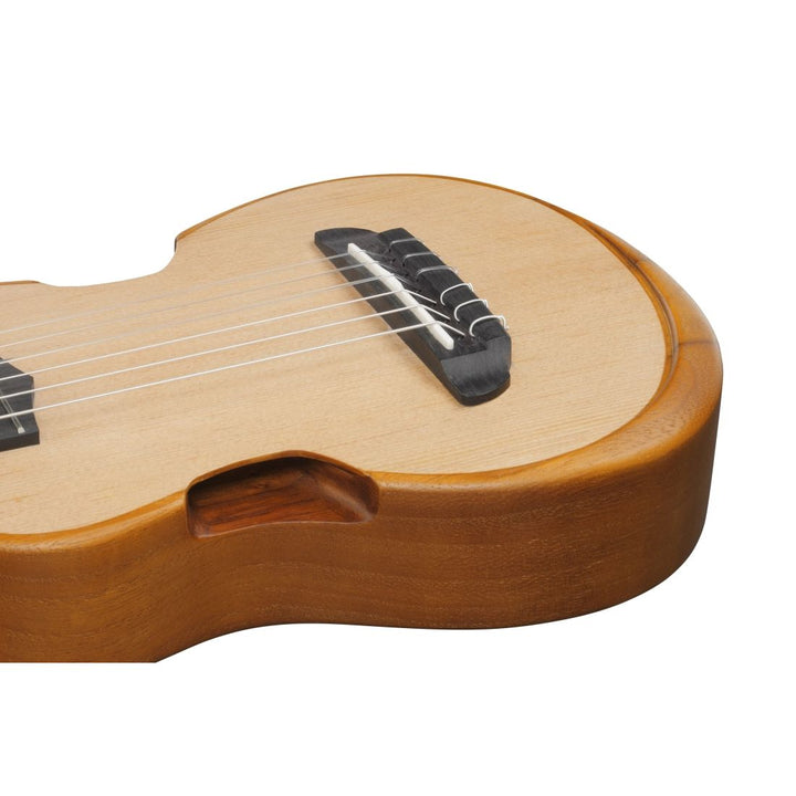 Ibanez Open Pore Compact Acoustic Guitar with Gigbag - Natural