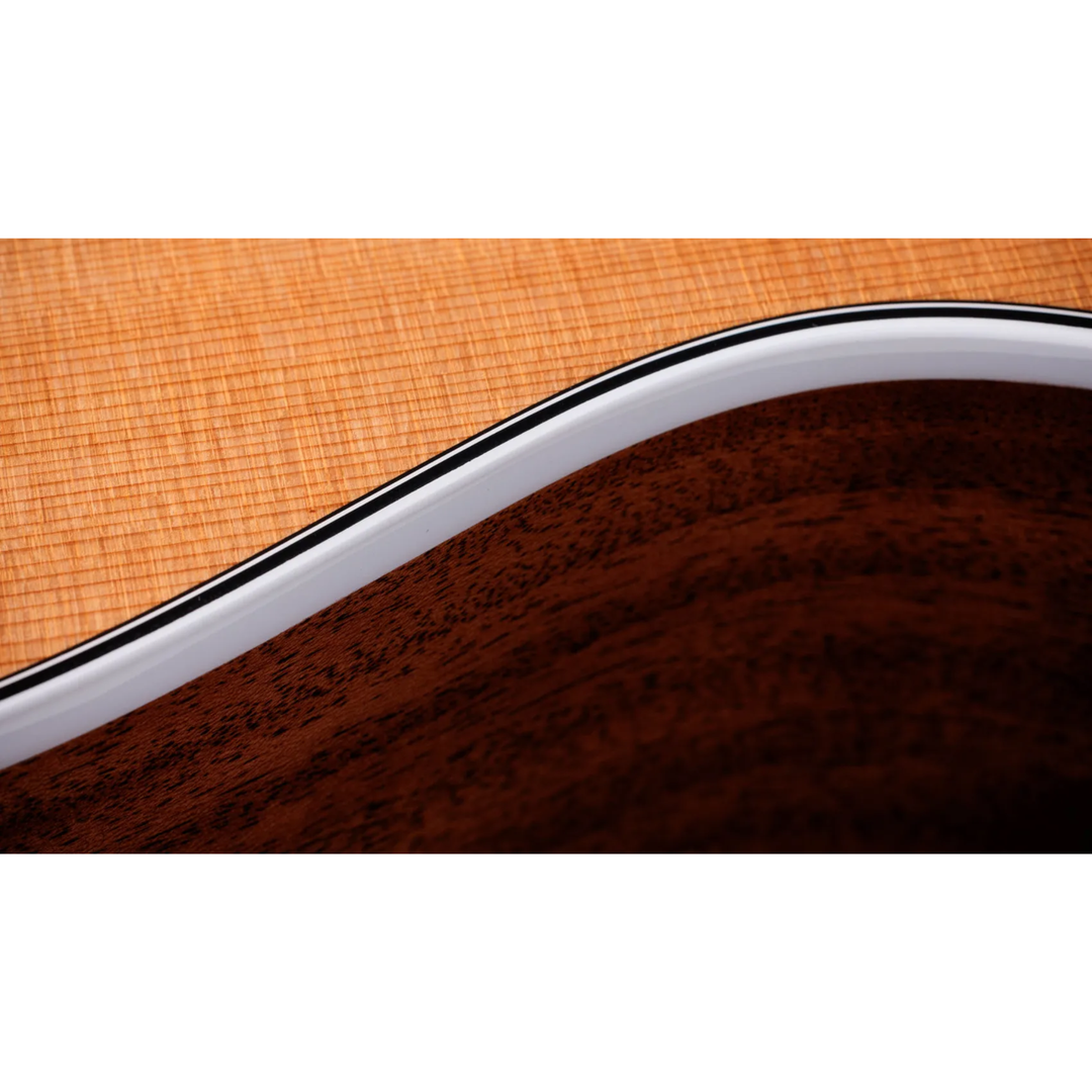Taylor Next Generation 512ce 12-Fret Acoustic Guitar