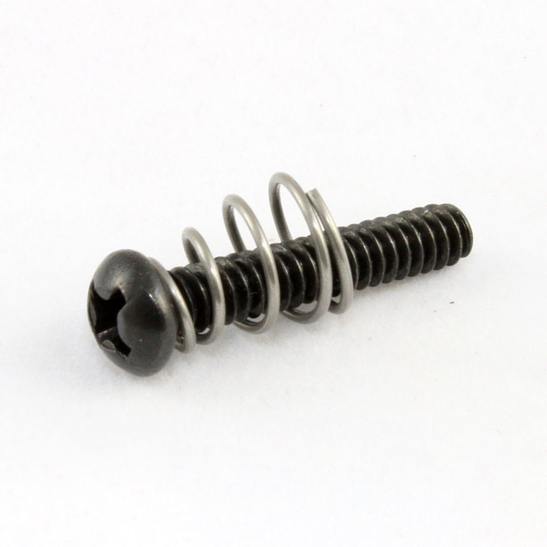 Allparts GS-0007 Single Coil Pickup Screws Black