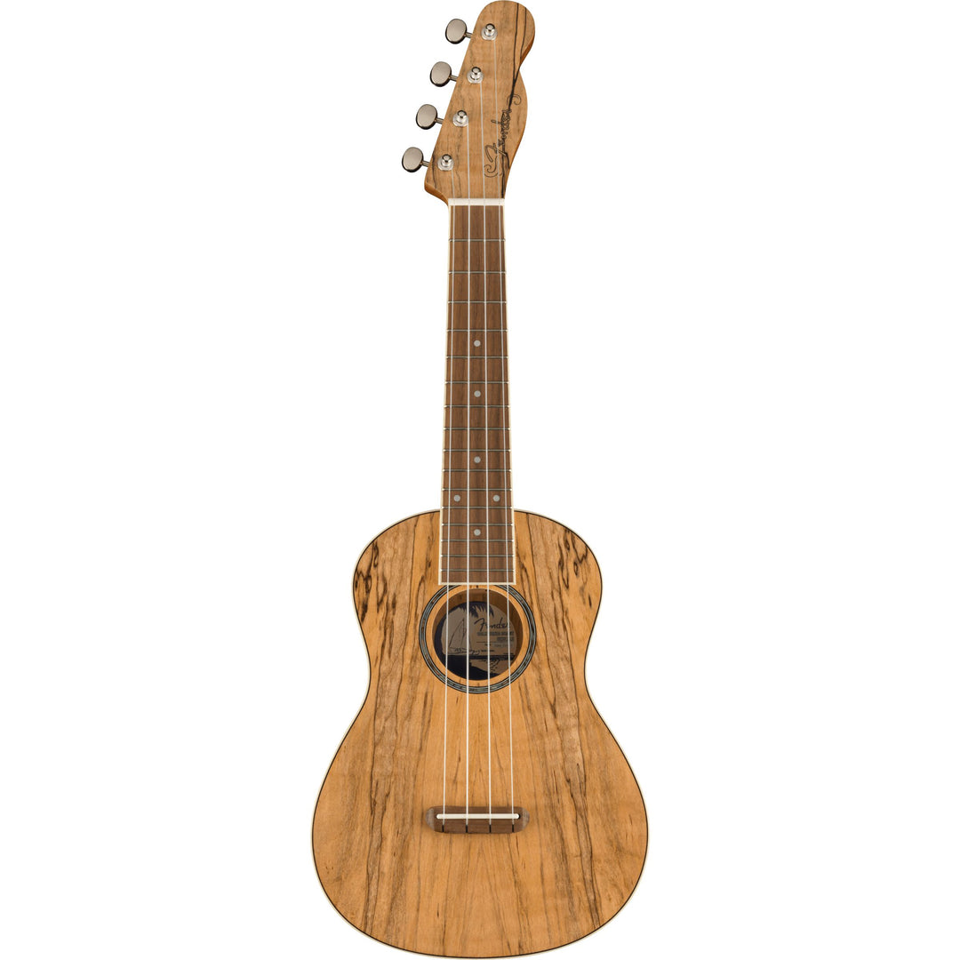 Fender Zuma Exotic Concert Ukulele  - Walnut Fingerboard  - Spalted - Maple
