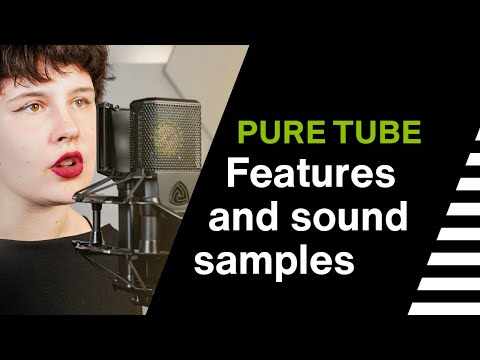Lewitt PURE TUBE Studio Set with 1"  true  condenser microphone