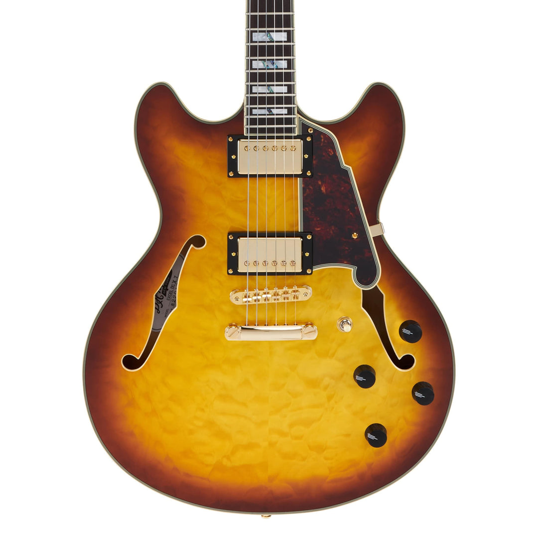D'Angelico Double Cut Semi-Hollow