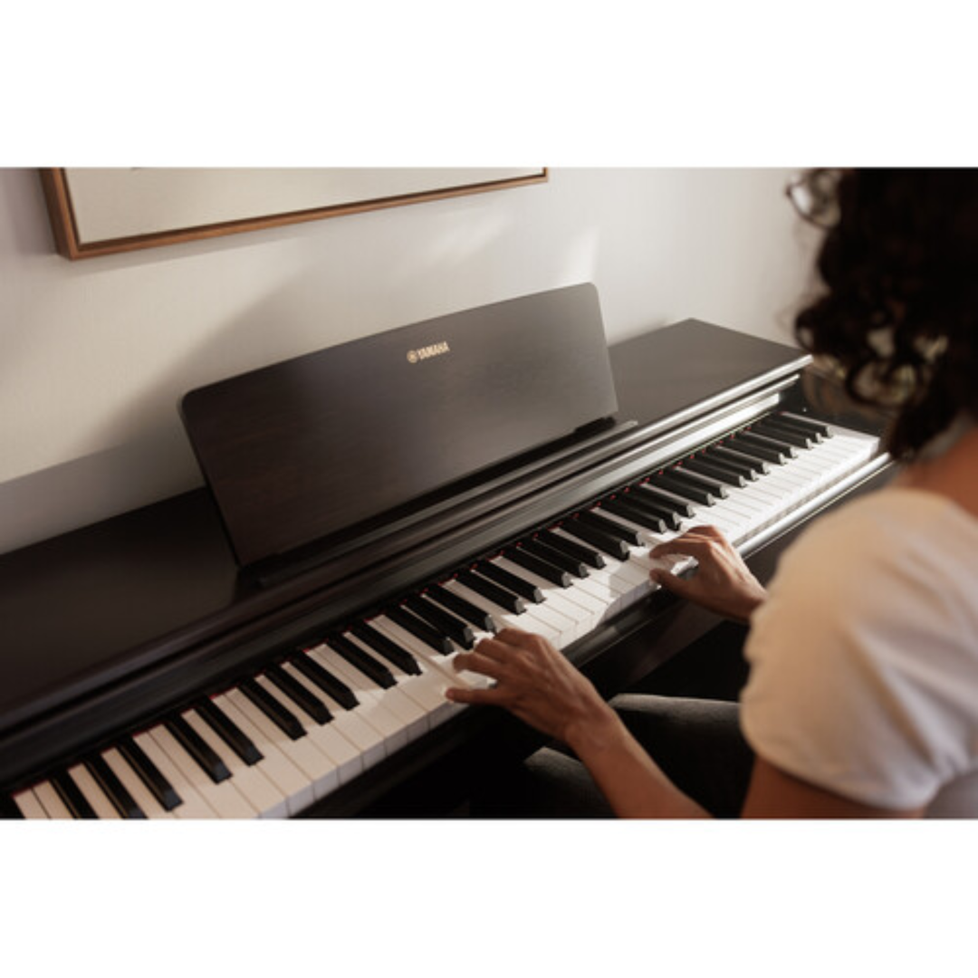 Yamaha YDP146 WH 88-Key Dgital Piano (White)