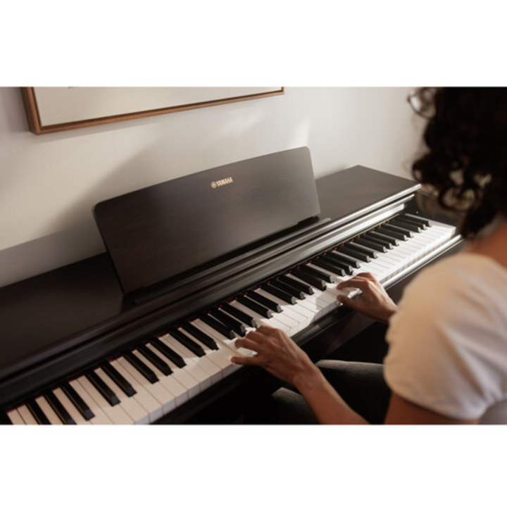 Yamaha YDP146 WH 88-Key Dgital Piano (White)