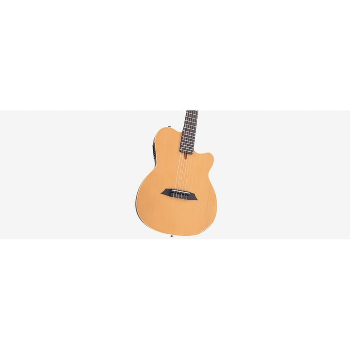 Sire Larry Carlton G5N (Natural) G5N-NTS