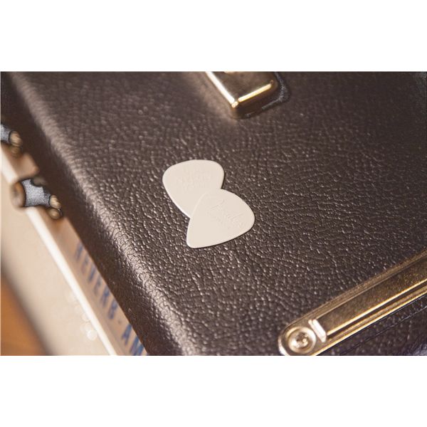 Fender Nylon Picks - 12 Pack - White