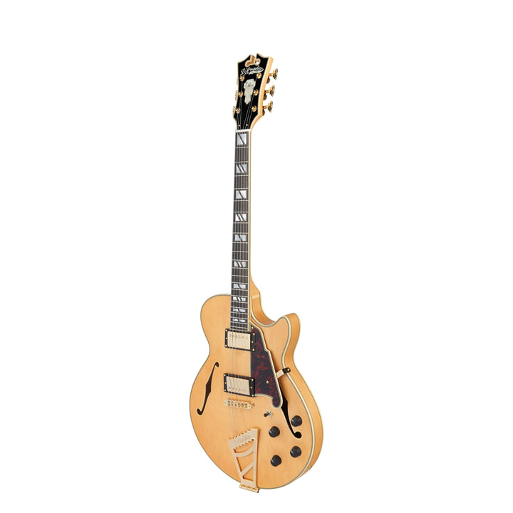 D'Angelico Single Cutaway