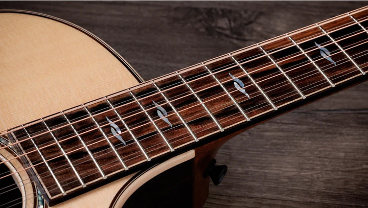 Overview

Indian rosewood body produces rich overtone character
Sitka spruce top for clarity and power
Versatile, all-purpose Grand Auditorium body shape
V-Class bracing adds more volume and sustain
Includes Claria electronics and hardshell case