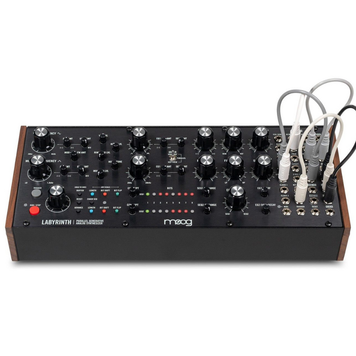 Moog Labyrinth Generative Analog Synthesizer