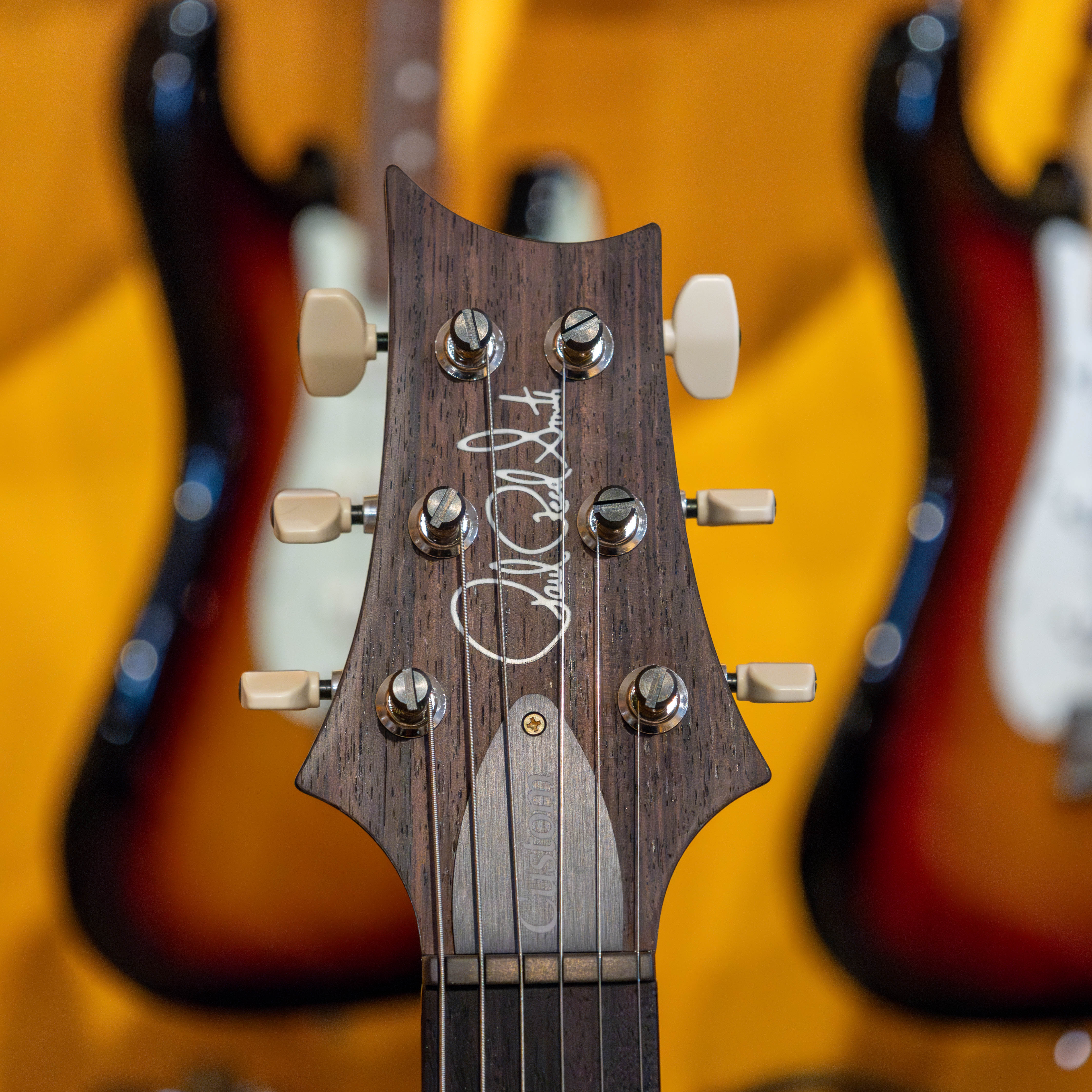 PRS Custom 24 10 Top Electric Guitar (Fire Smokeburst) – Music