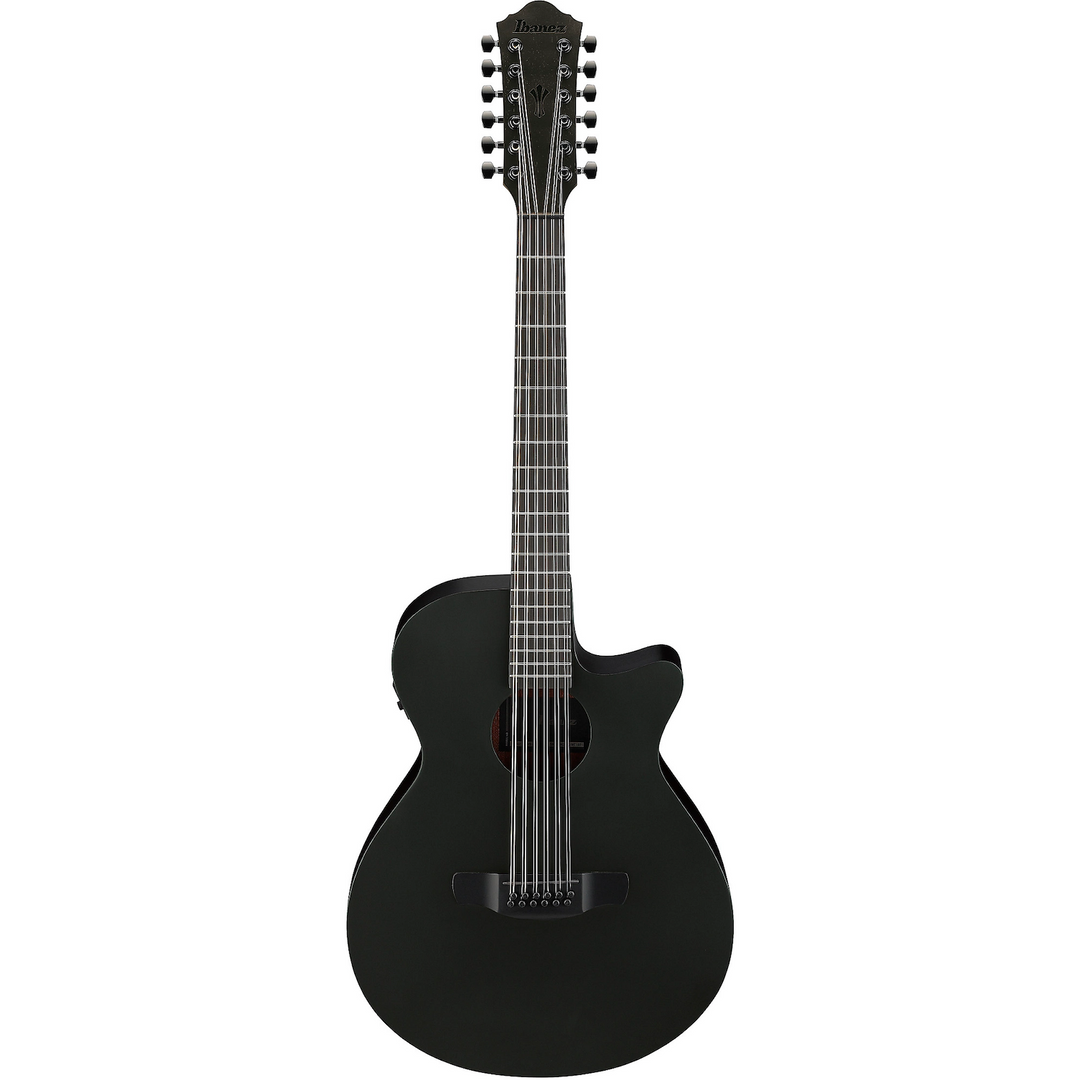 Ibanez AEG1221BOT AEG 12-String Acoustic-Electric Guitar Black Out