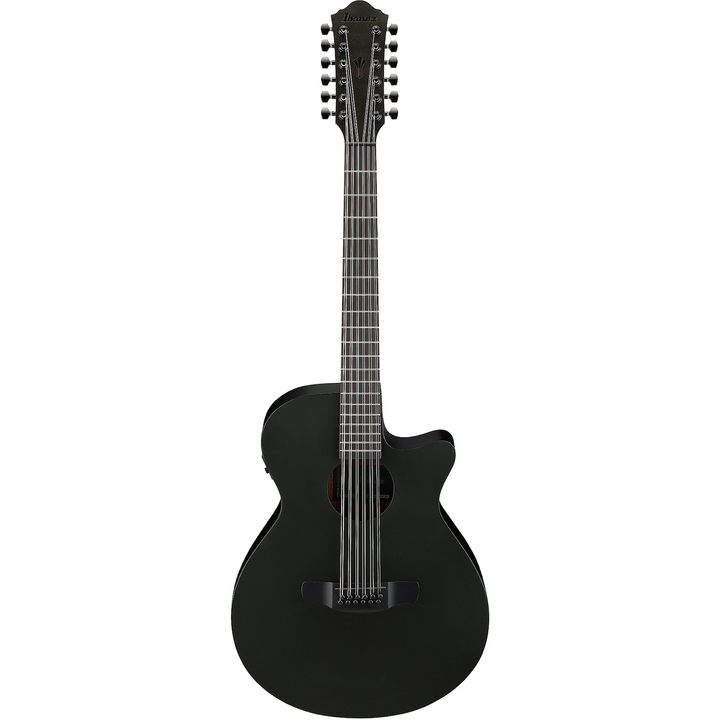 Ibanez AEG1221BOT AEG 12-String Acoustic-Electric Guitar Black Out