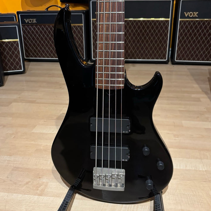 Godin - BG5  EMG Active Loaded 5 String Bass w/ Godin Hard Shell Case ( Black-1999) - USED