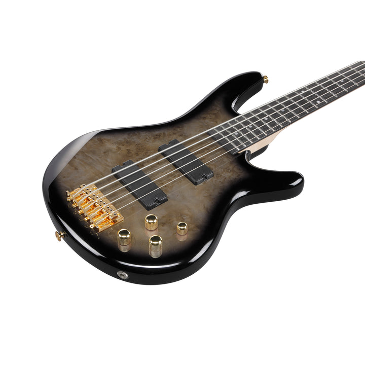 Ibanez Gio SR 5-String Bass (Transparent Pale Black Burst) GSR205PCTPB