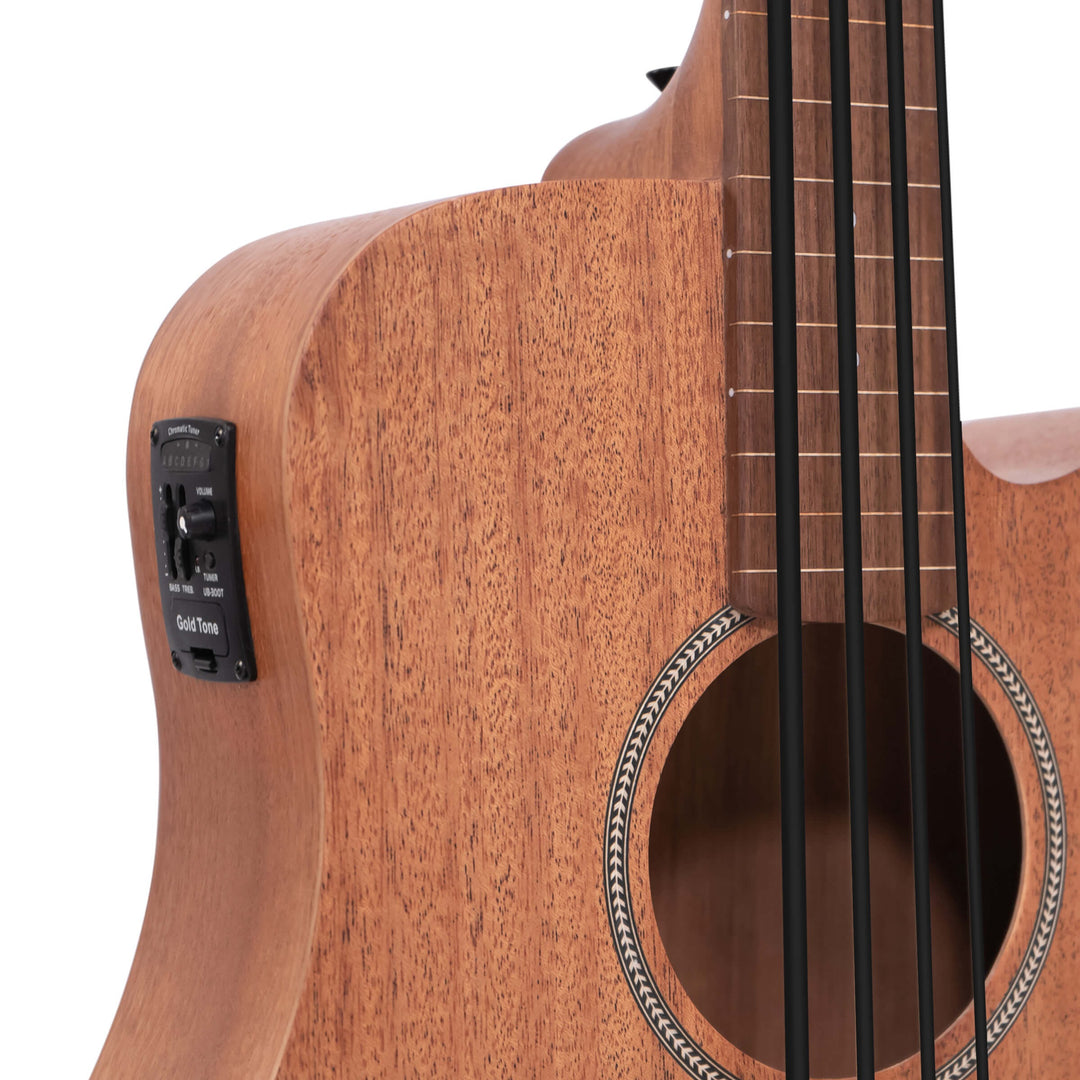 Gold Tone 25-Inch Scale Fretless Acoustic-Electric MicroBass with Gig Bag