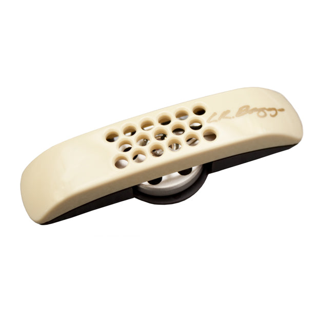 LR Baggs Anthem Stagepro P/U System