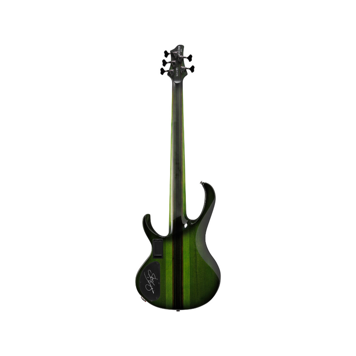 Ibanez Steve Di Giorgio Signature 5-String Bass (Dark Moss Burst) SDGB1DMT