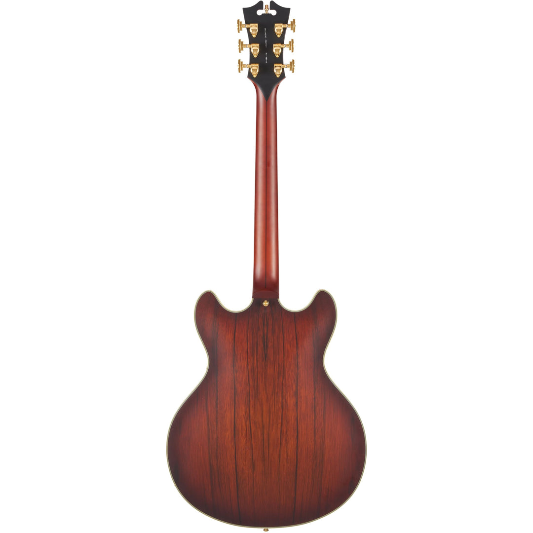 D'Angelico Double Cutaway