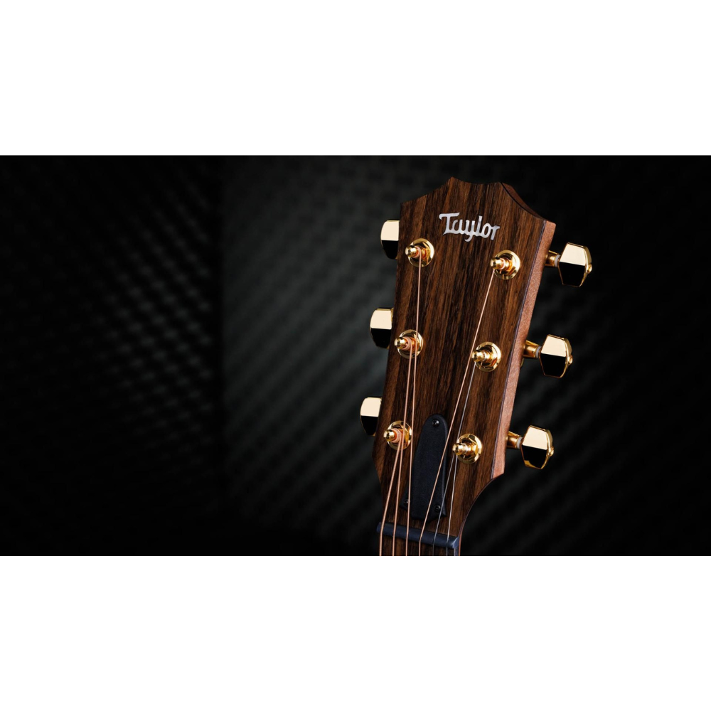 Taylor 50th Anniv. AD14ce LTD Spruce Walnut Acoustic Electric Guitar
