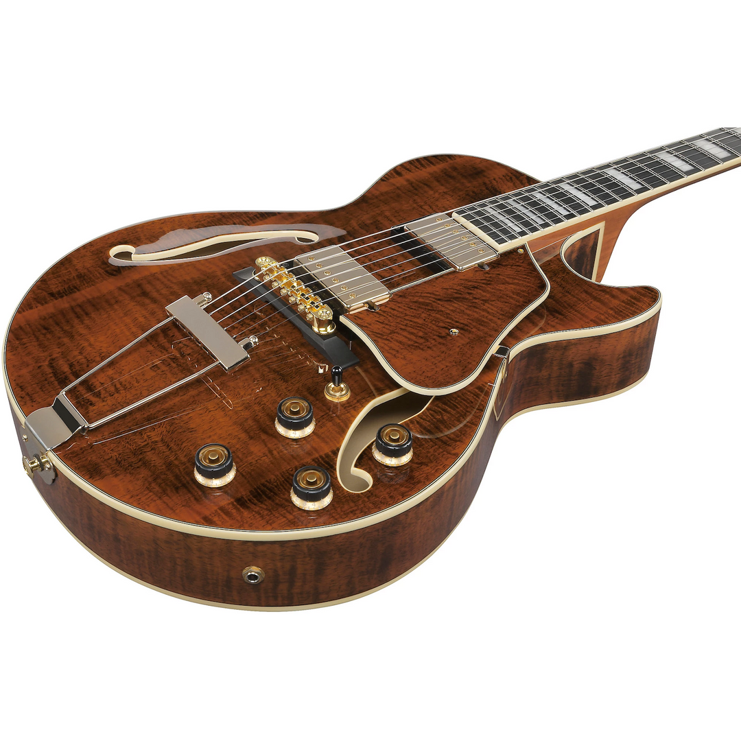 Ibanez AG95MGDA AG Artcore Expressionist Semi-Hollow Electric Guitar (Dark Amber)