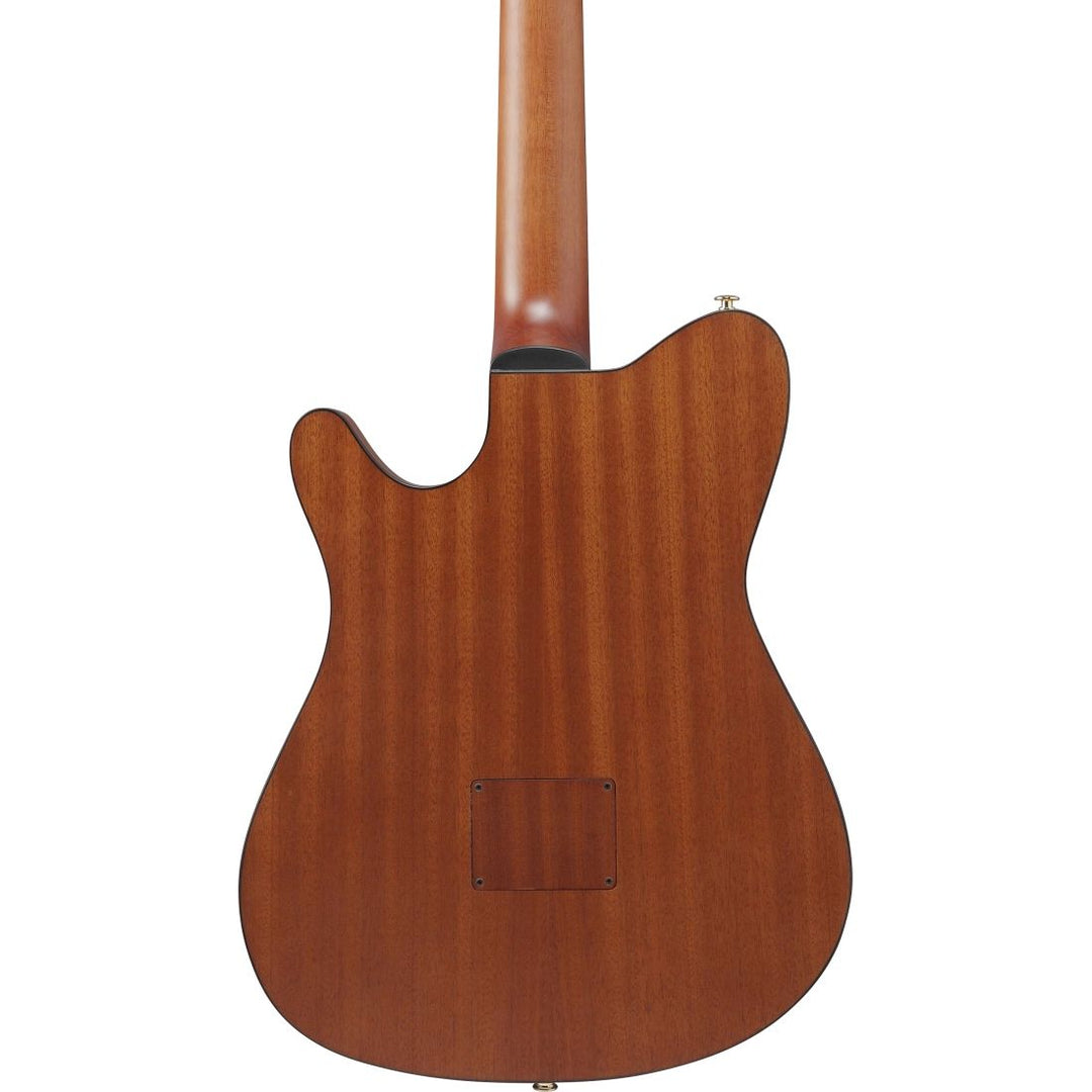 Ibanez FRH Acoustic/Electric (Rose Gold Metallic Flat) FRH10NRGF