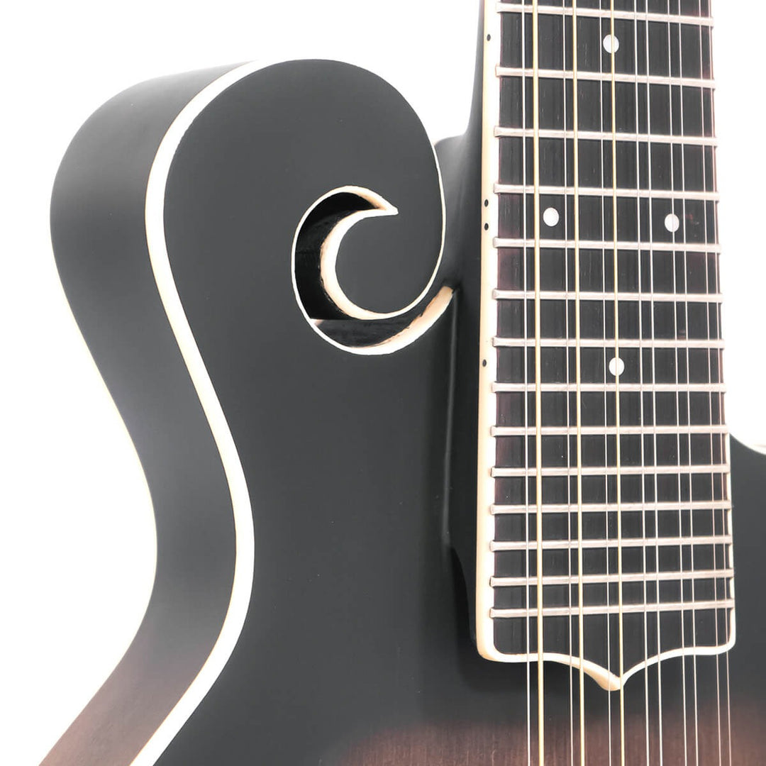 Gold Tone 12-string F-style Mando-Guitar with Pickup and Case