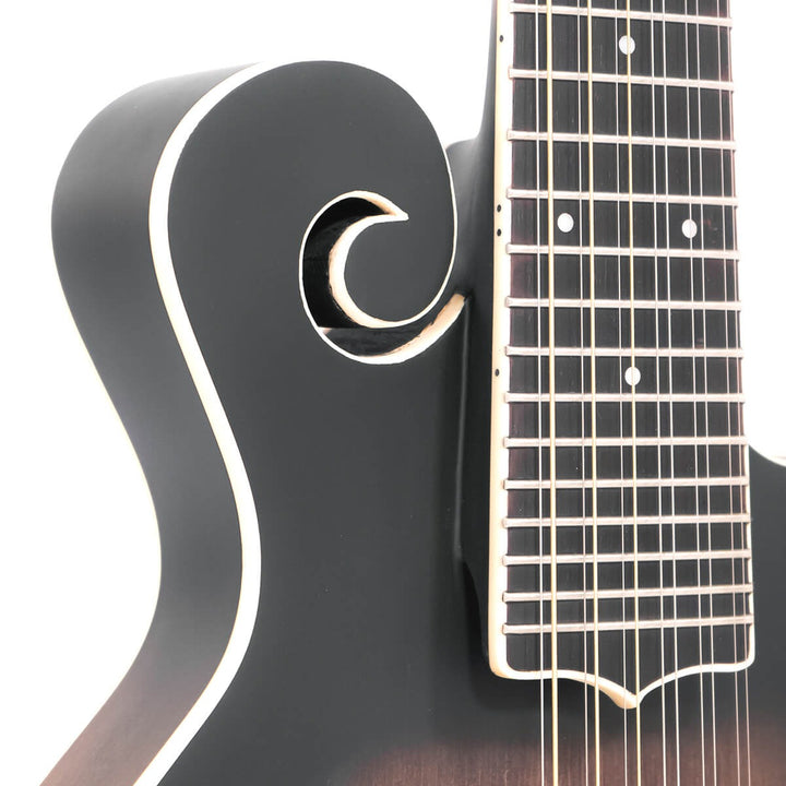 Gold Tone 12-string F-style Mando-Guitar with Pickup and Case