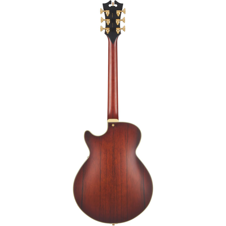 D'Angelico Single Cutaway