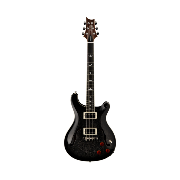 PRS SE Hollowbody Standard Piezo (Dog Hair Smokeburst)  w/ Hardshell Case