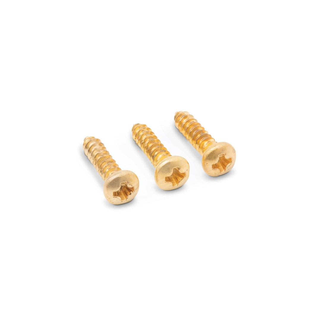 Taylor Screw(3),PPH,#2x3/8",Gold TR Cover
