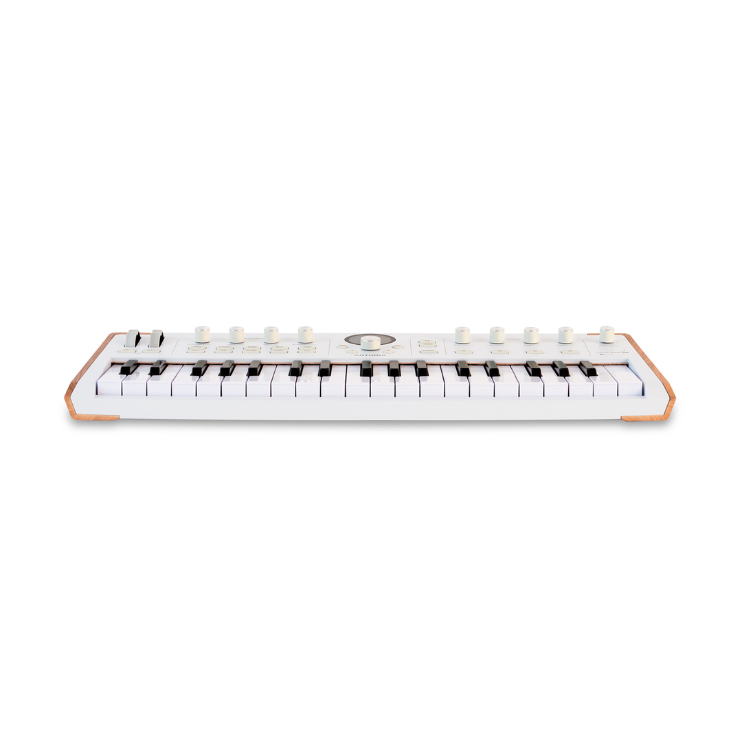 Arturia ASTROLAB37 37-Key Full-Weighted Hammer-Action Avant-Garde Stage Keyboard
