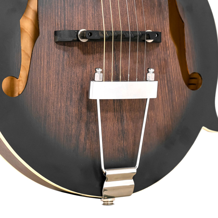 Gold Tone F-6 6-String F-style Mando-Guitar with Pickup and Case
