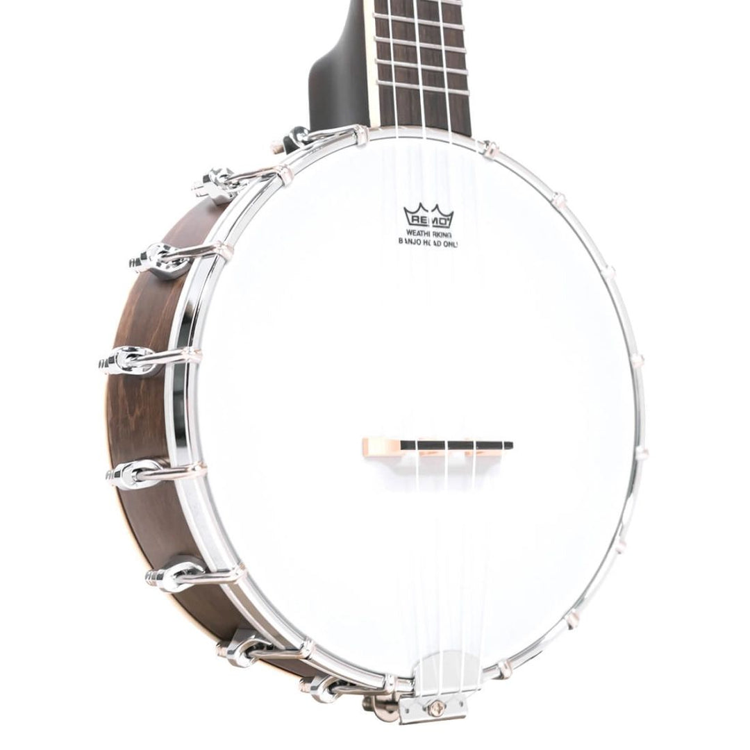 Gold Tone Gt Tenor Banjo Uke with Case