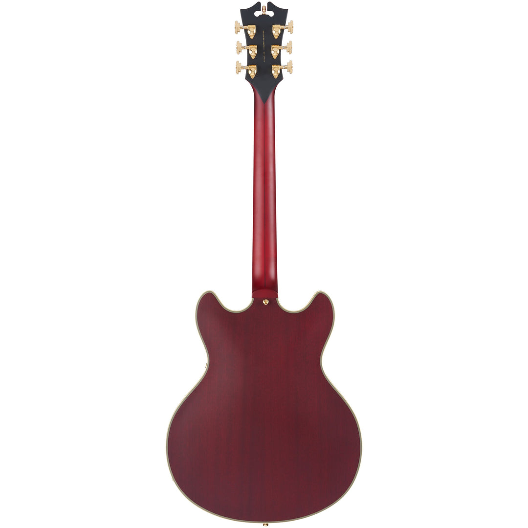 D'Angelico Double Cutaway