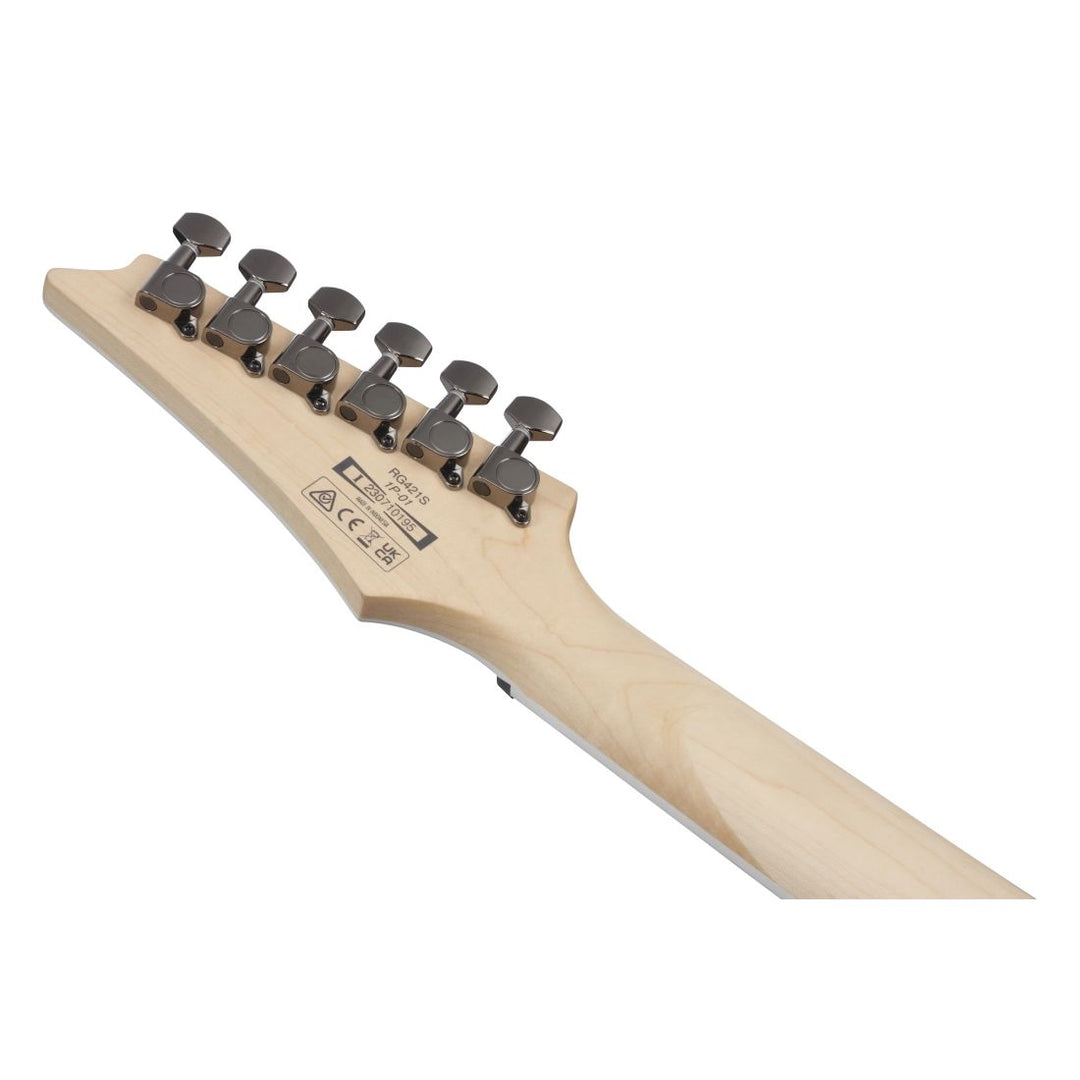 Ibanez RG Standard (Sea Shore Matte) RG421SSEM