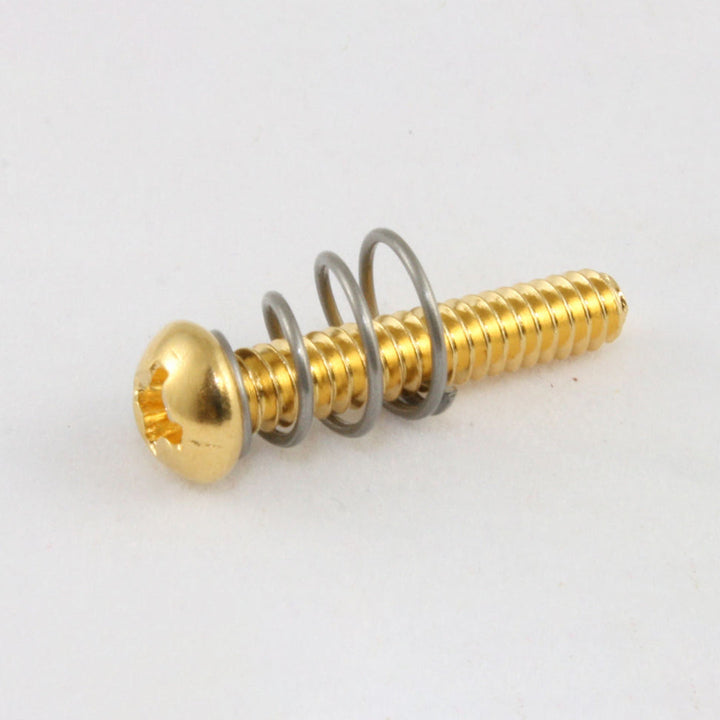 Allparts GS-0007 Single Coil Pickup Screws Gold