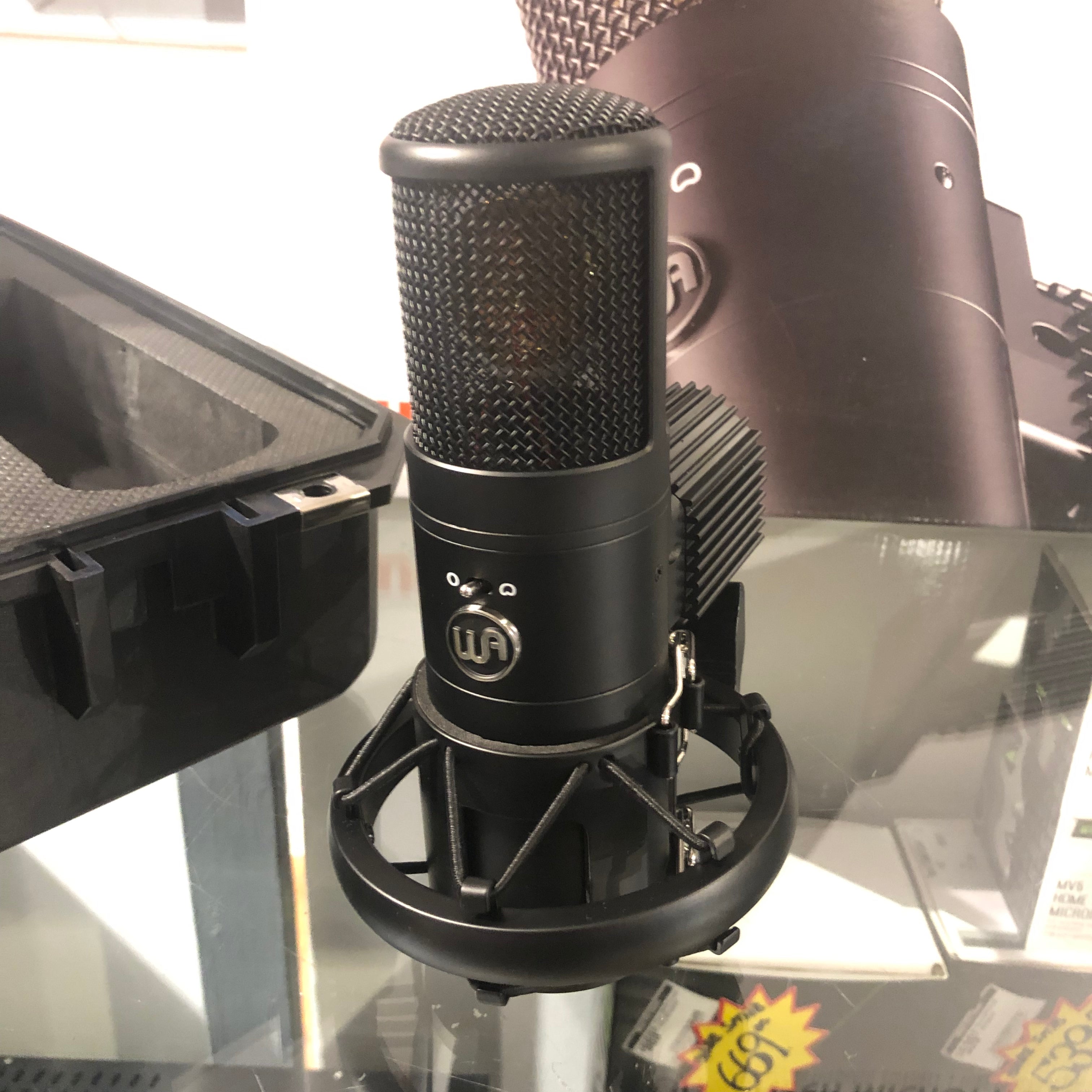 Warm Audio WA-8000 Large-Diaphragm Multipattern Tube Condenser Microphone (Demo)