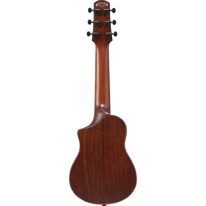 Ibanez AUP10NOLB Acoustic Guitar w/bag - Open Pore Light Brown Sunburst