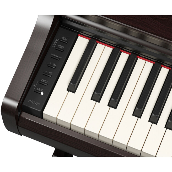 Yamaha YDP166 R 88-Key Dgital Piano (Rosewood)