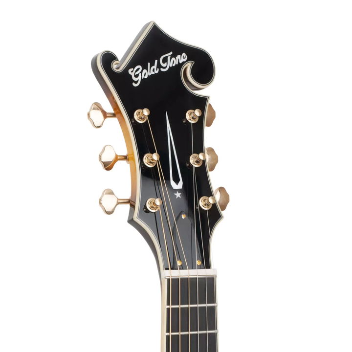 Gold Tone F-style Mando-Guitar with Pickup, Volume Control and Case