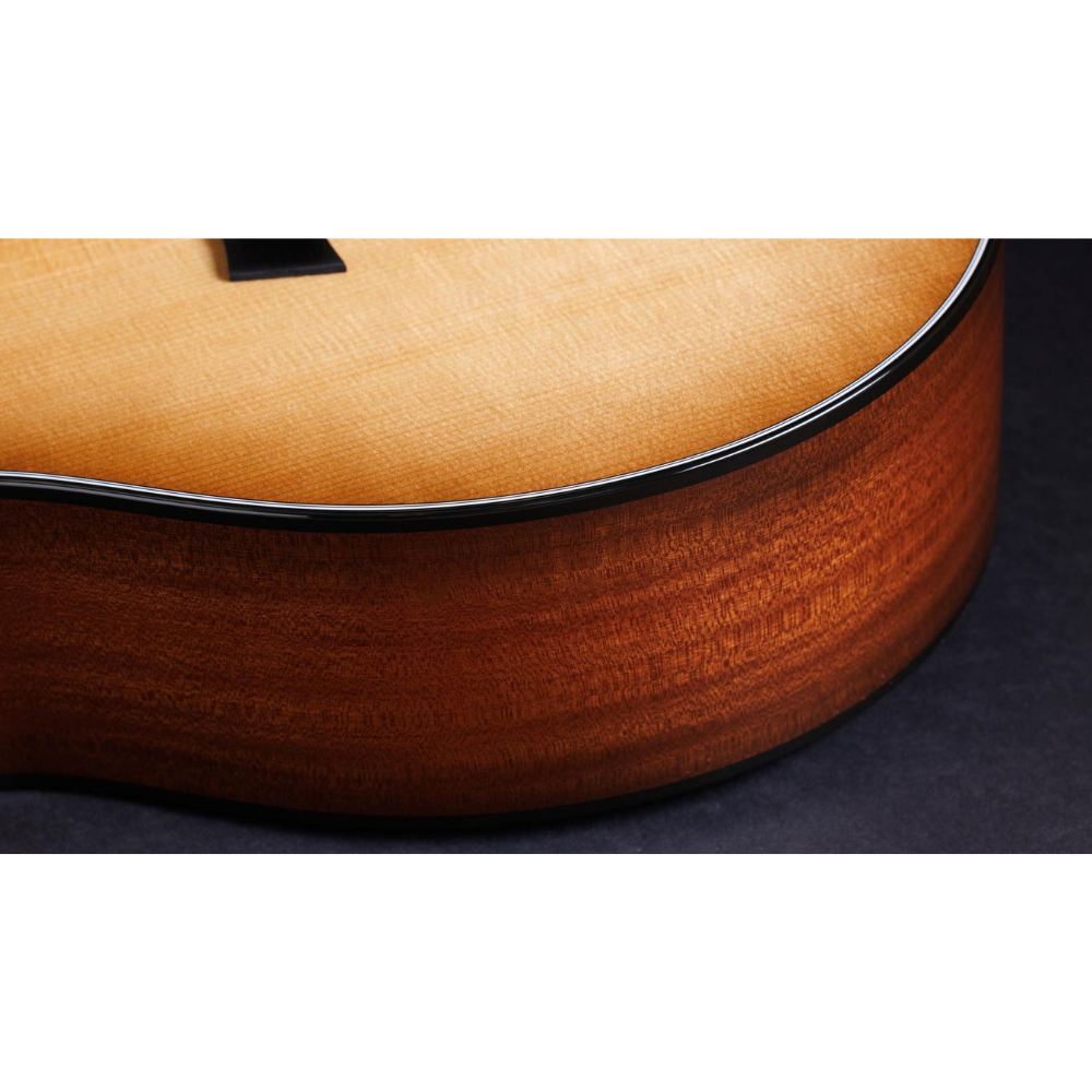 Taylor 50th Anniv. 314ce LTD Grand Auditorium Sapele/Torrefied Spruce Acoustic Electric Guitar