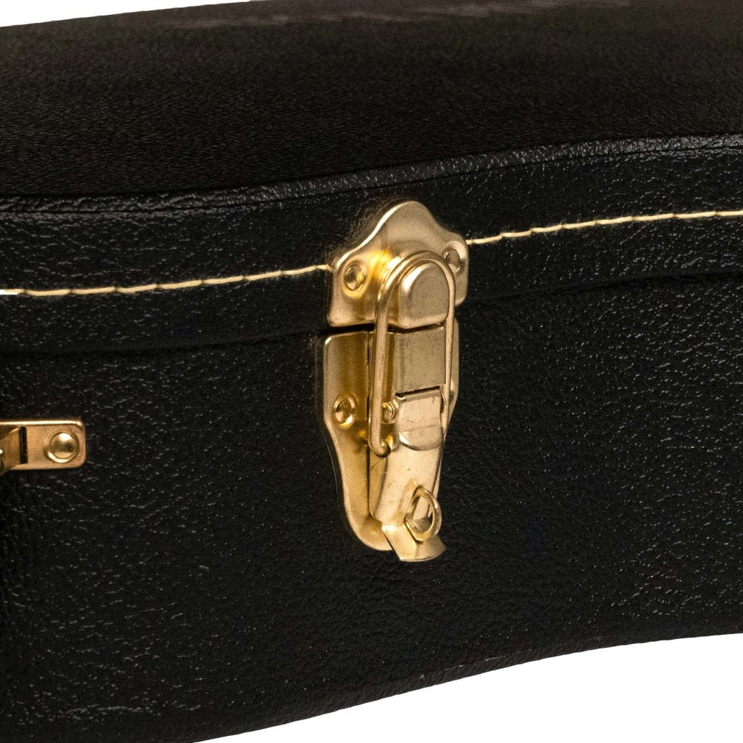 Gold Tone Weissenborn Case
